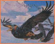 Птицы из карточной игры "Магические карты"